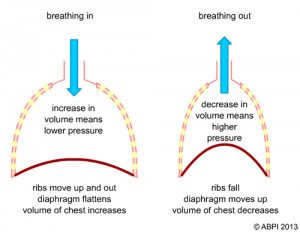 breathing in-out